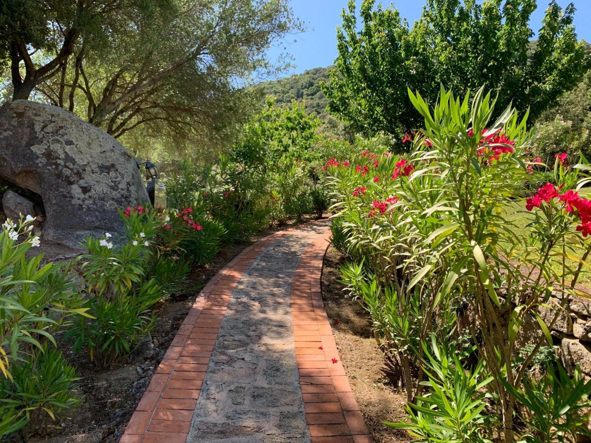 Hotel Valkarana Country Relais (Adults Only) Sant'Antonio di Gallura Exterior photo